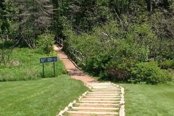 This is a sign for "Haunted woods” at Anne of Green