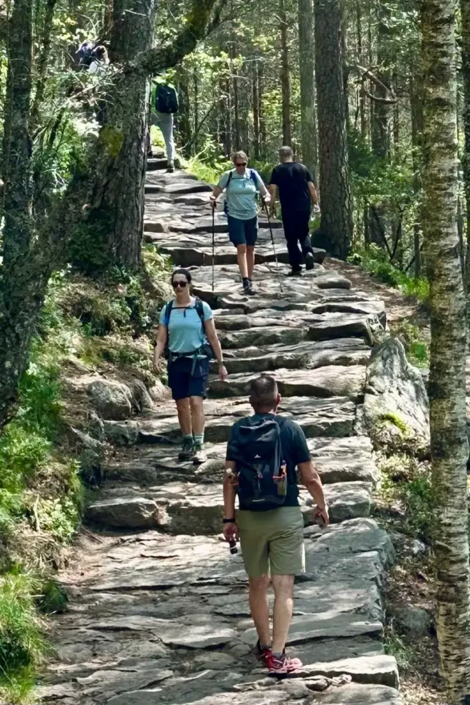 노르웨이 프레이케스톨렌에서 트레킹하는 사람들