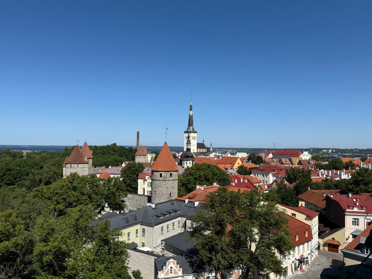 tallinn-patkuli-viewing-platform