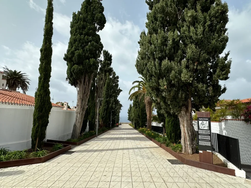 Tree-lined pathway at the beginning of Agatha Christie Street for Tenerife travel review