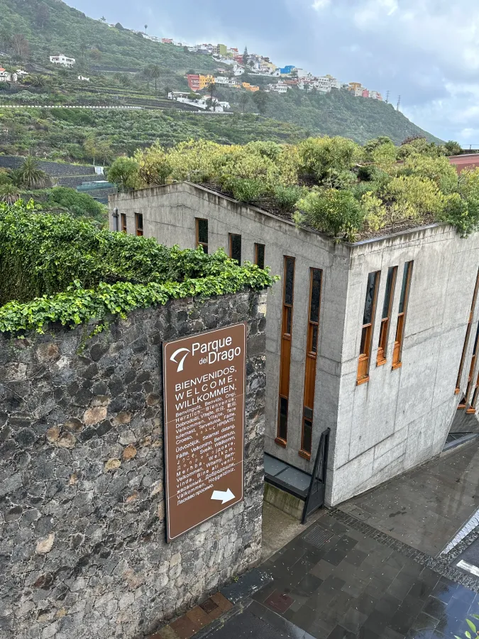 enerife travel review, a charming street view overlooking the town from the free Dragon Tree viewing park.